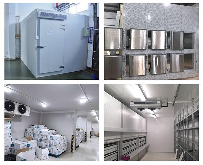 建造一個(gè)50平方的保鮮冷庫要多少錢?