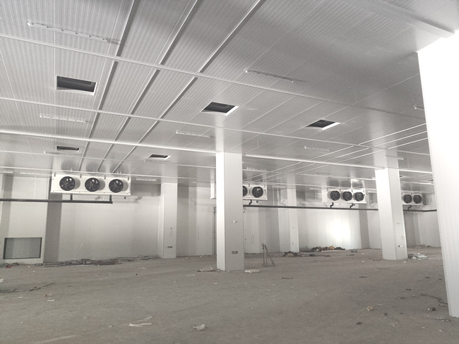 建造2000噸海鮮冷庫(kù)占地面積及建造成本