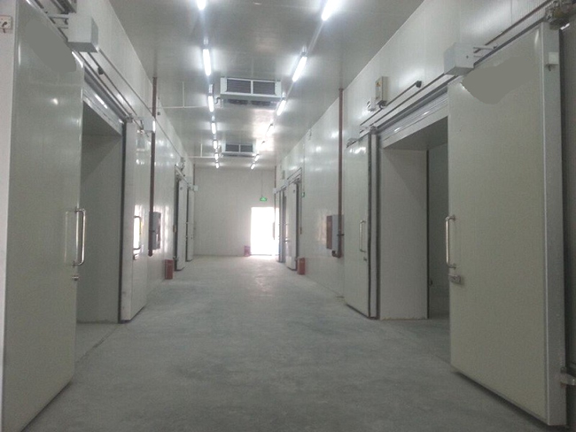 建造1000噸食品加工冷庫(kù)大概需要多少錢