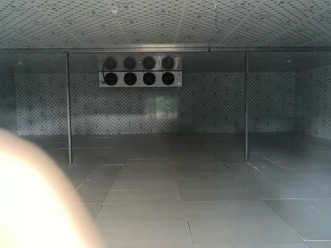 鮮花冷庫可行嗎?鮮花能不能放冷庫