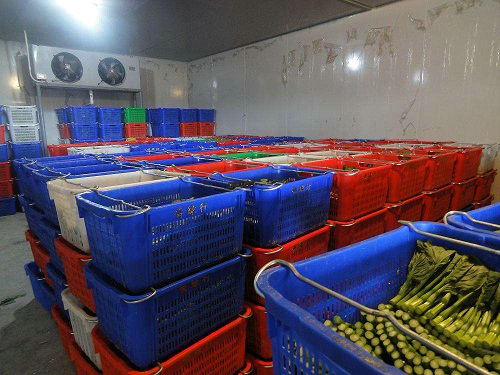 食品冷庫保鮮的原理