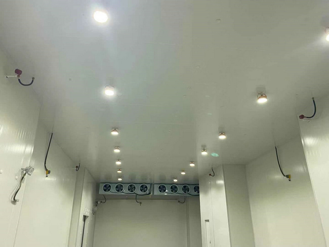 衢州建造20平方保鮮冷庫需要多少錢?